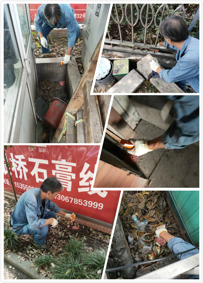 k8.com市场发展冬季灭鼠