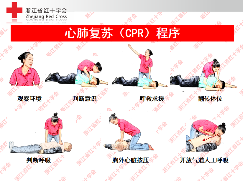 急救知识技术培训