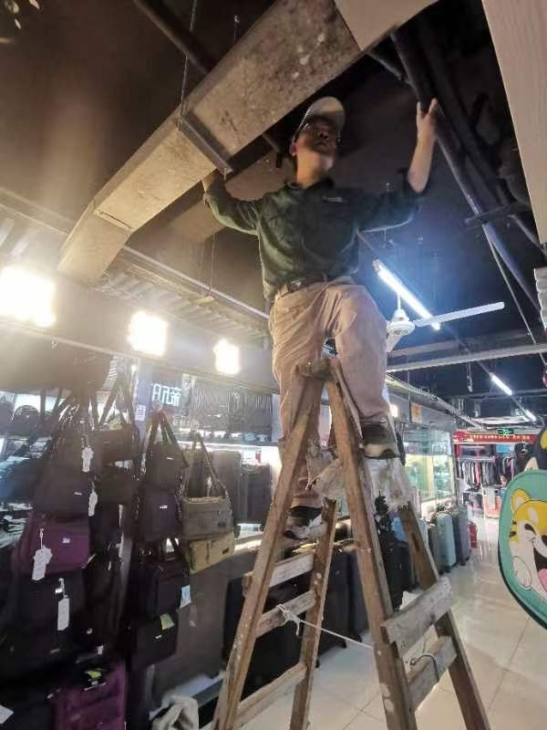 夏季除四害，钱江在行动