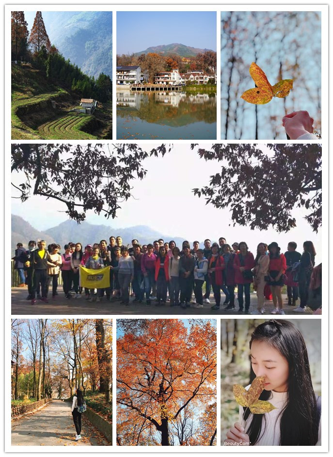 k8.com电子买卖市场组织“指南村赏秋”活动