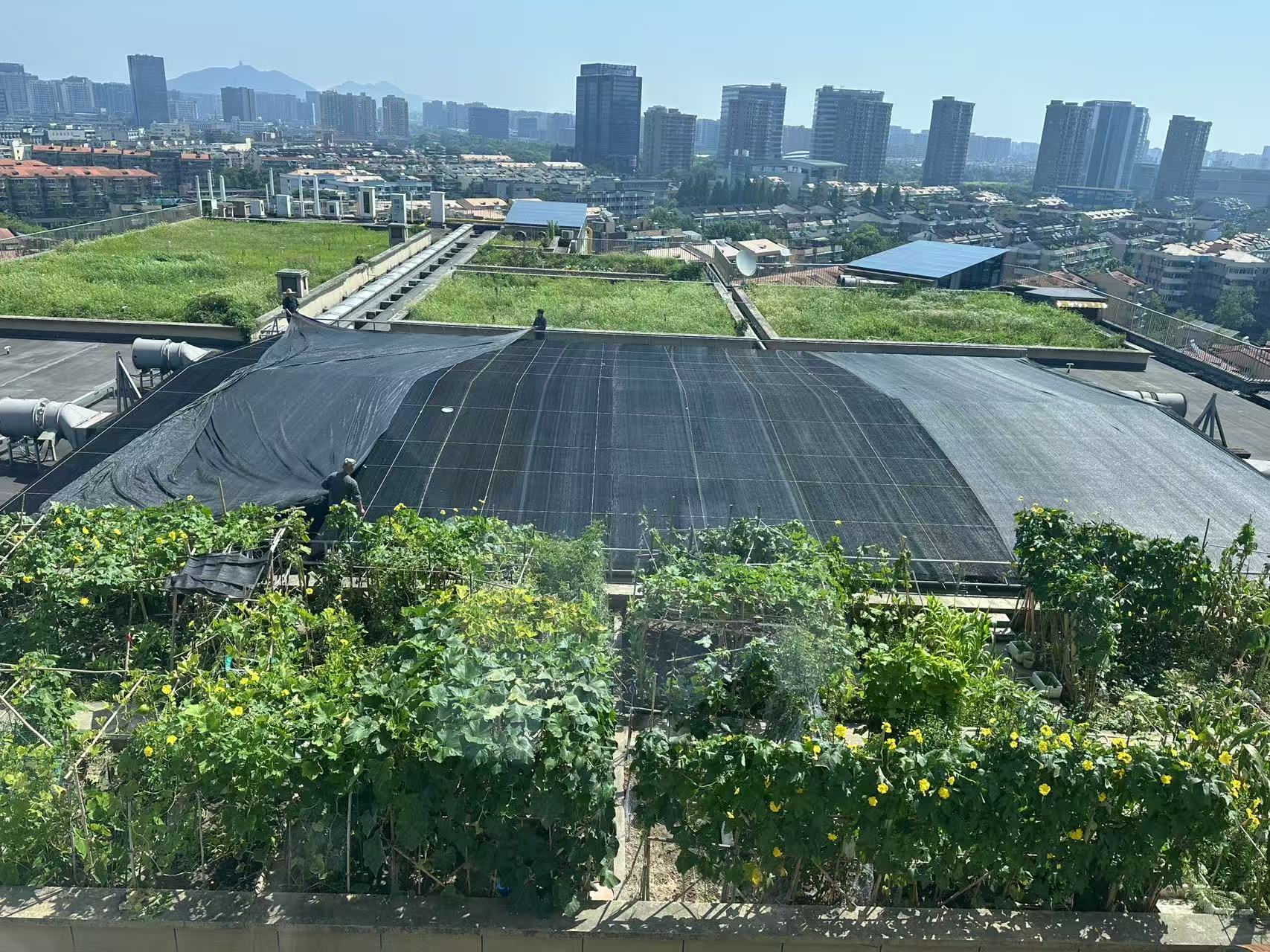 水晶城巧施」刳阳术“，为节能降耗注入清冷动力