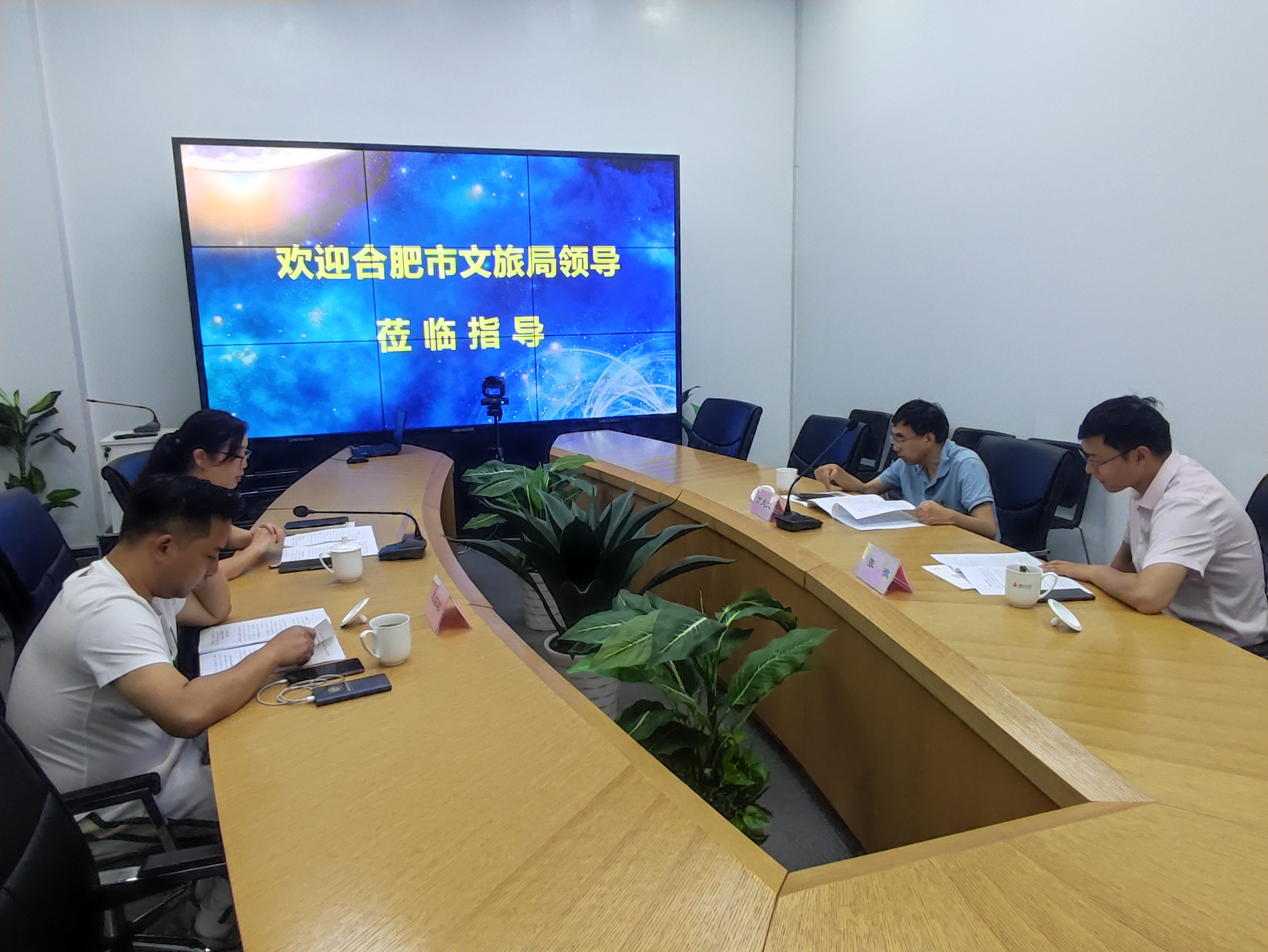 合肥市文化游览局丁大文处长一行光临k8.com文创集团调研