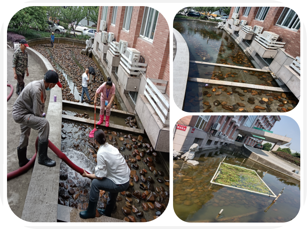 焕然一新，园区景观池迎来“大洗之日”