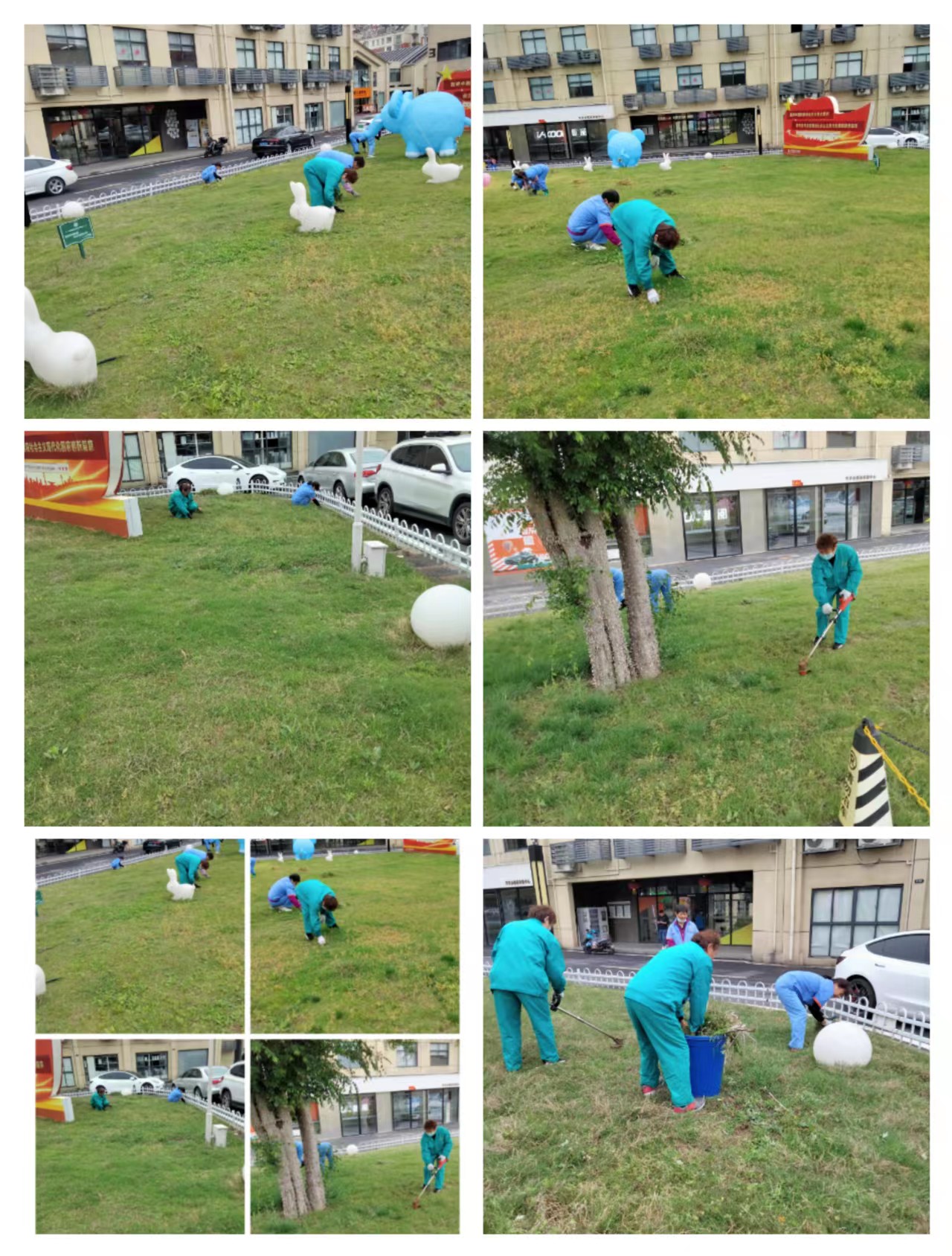 庐阳k8.com文创园发展绿化养护工作