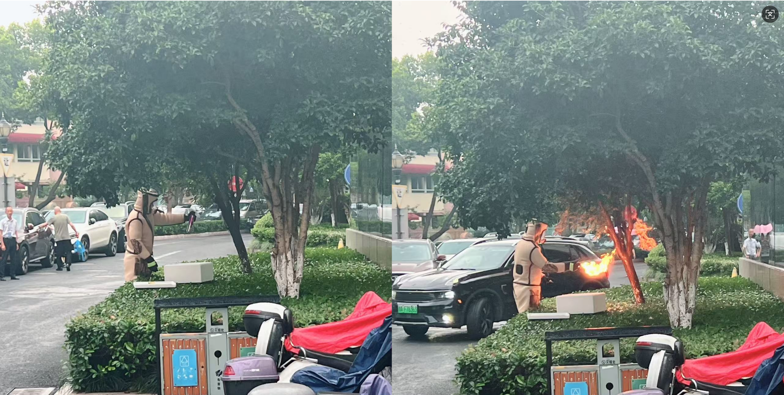 安全守护零距离，水晶城急剧措置表围蜂群隐患