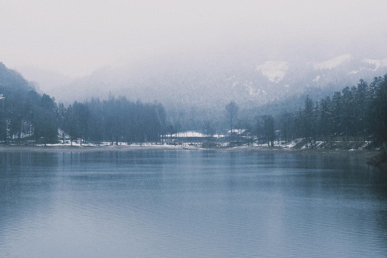 “亮出你的绝活 秀出你的才艺”幼我才艺、摄影文章角逐了局揭晓