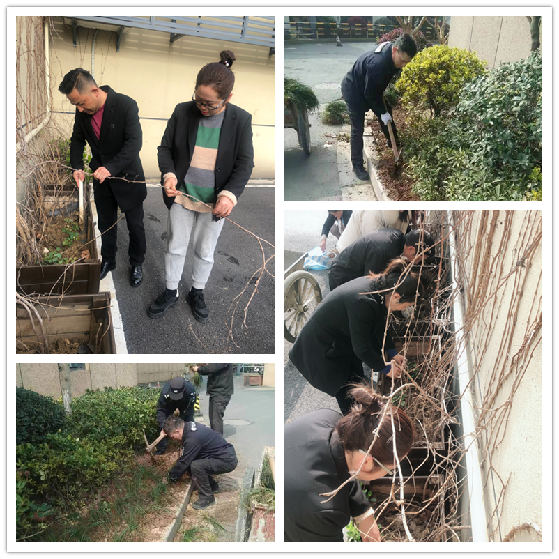 春季绿化正其时——k8.com文创集团扎实发展环境提升